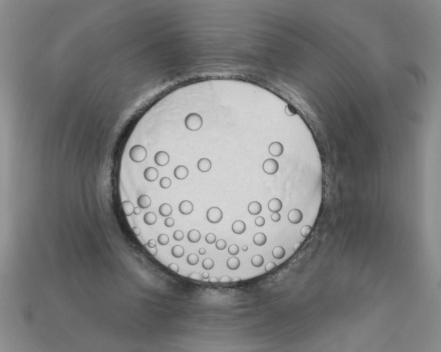 X0000111950346200909071324