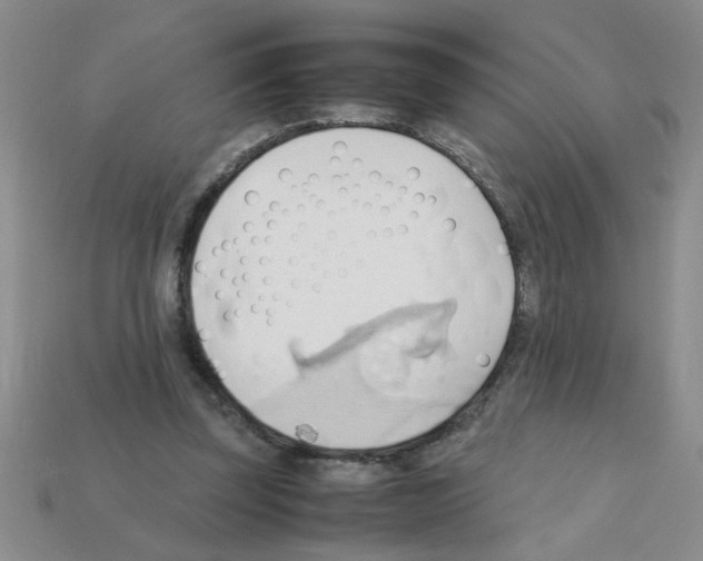 X0000111950347200909071324