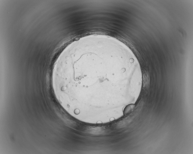 X0000111950349200909071324