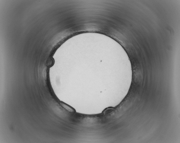 X0000111950350200909071324