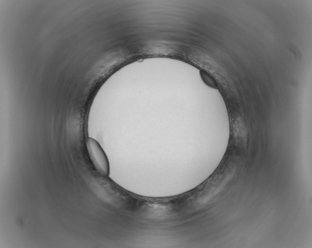 X0000111950352200909071324