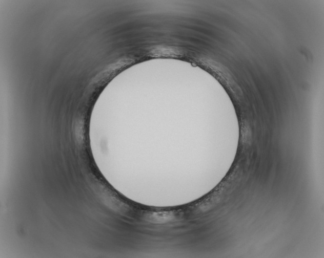X0000111950353200909071324