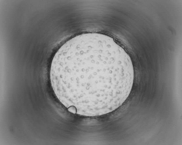 X0000111950354200909071324