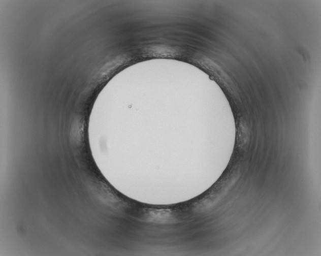 X0000111950355200909071324