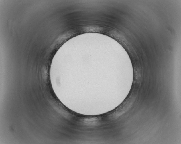 X0000111950357200909071324