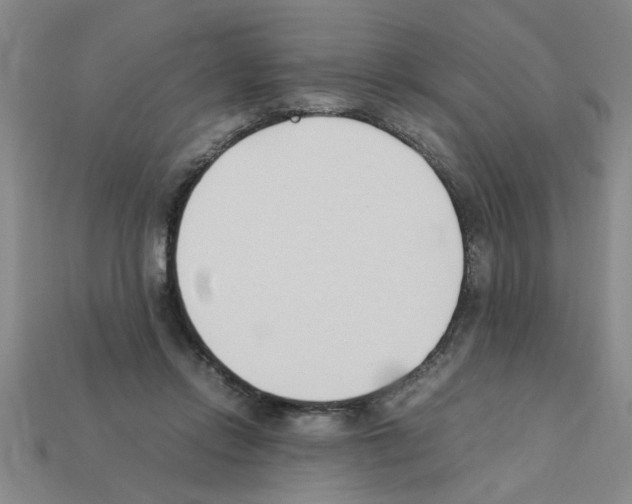 X0000111950358200909071324