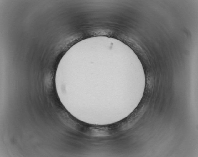 X0000111950359200909071324