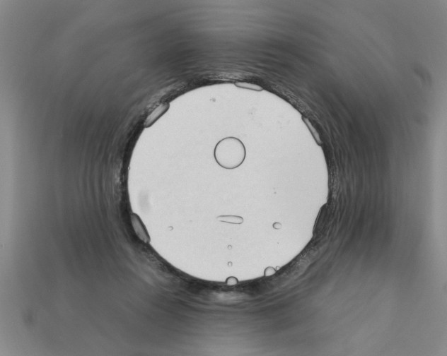 X0000111950360200909071324