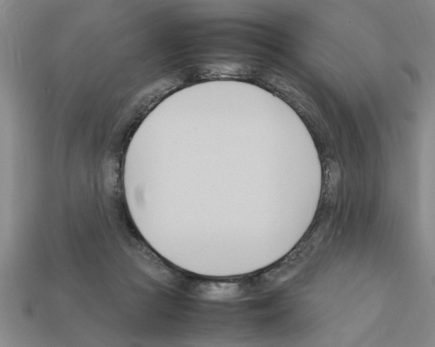 X0000111950361200909071324