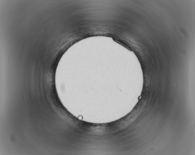 X0000111950362200909071324
