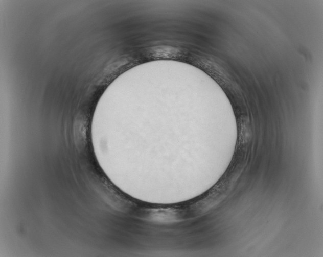 X0000111950363200909071324