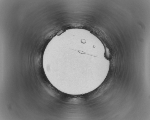 X0000111950364200909071324