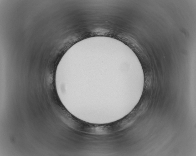 X0000111950365200909071324