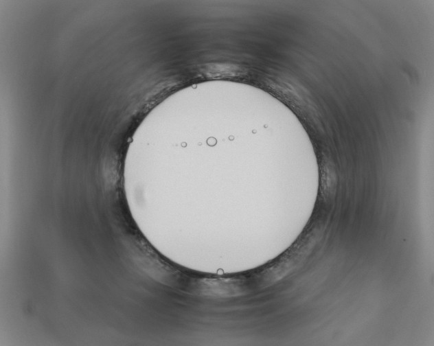 X0000111950367200909071324