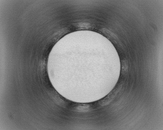 X0000111950369200909071324