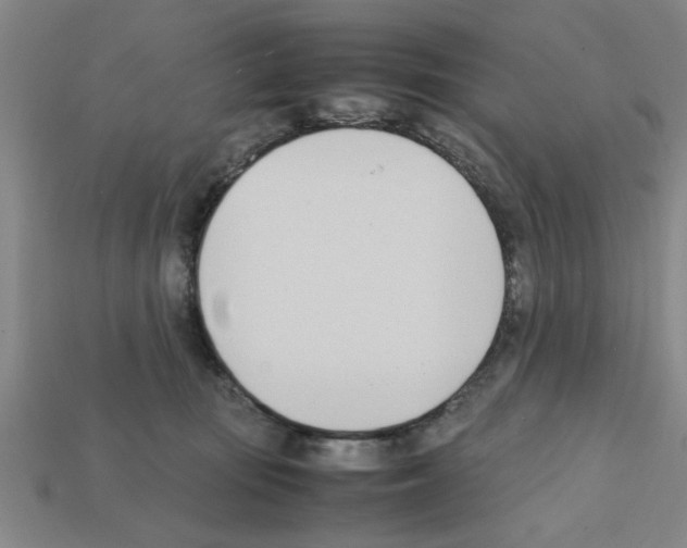 X0000111950371200909071324