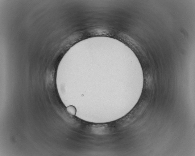 X0000111950373200909071324