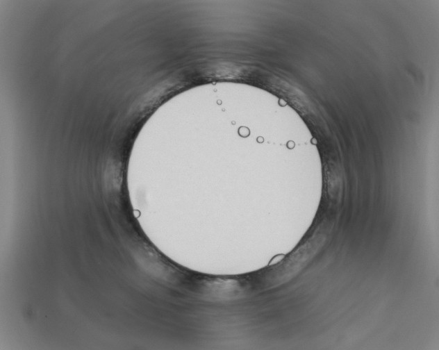 X0000111950374200909071324