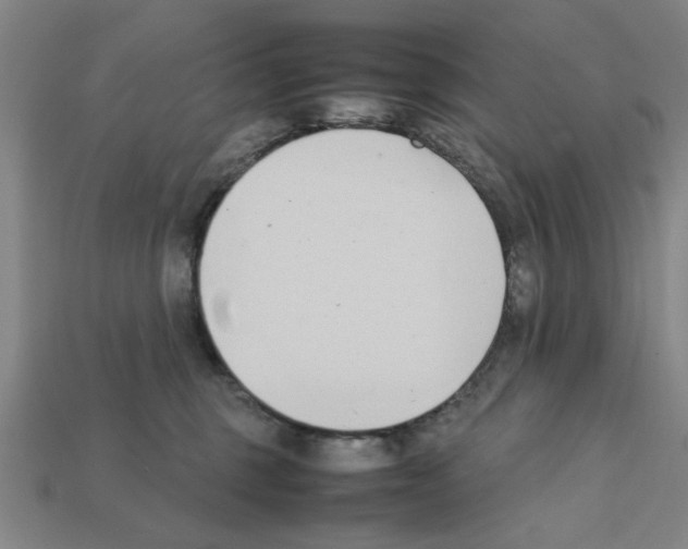 X0000111950375200909071324