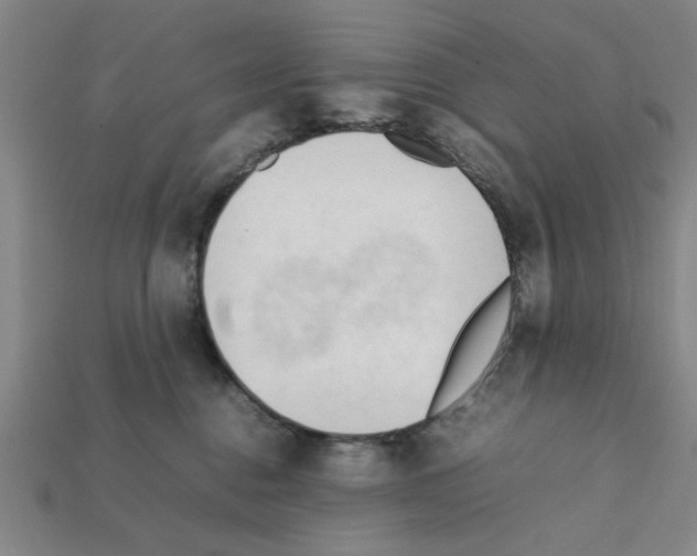 X0000111950376200909071324
