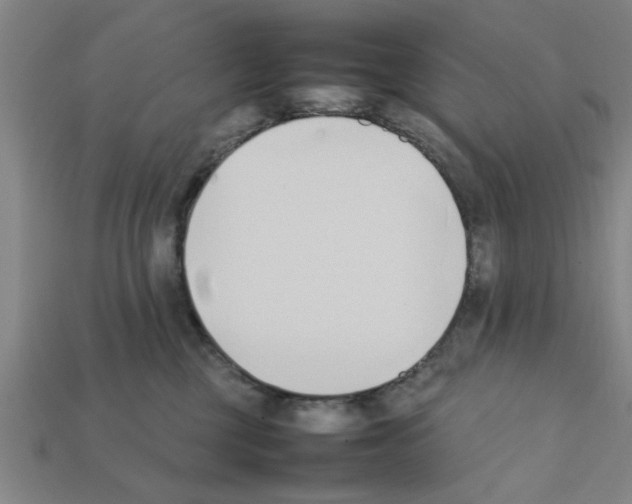 X0000111950377200909071324