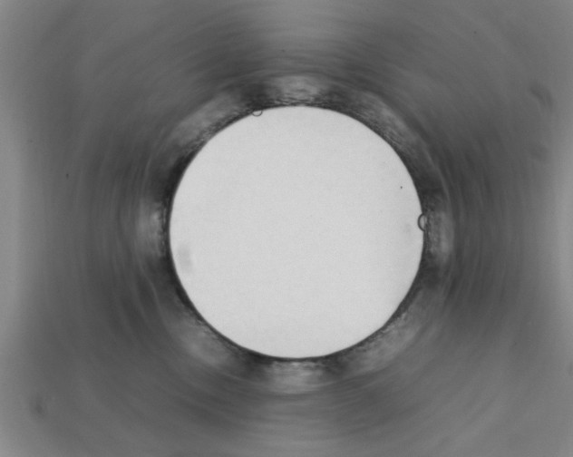 X0000111950378200909071324