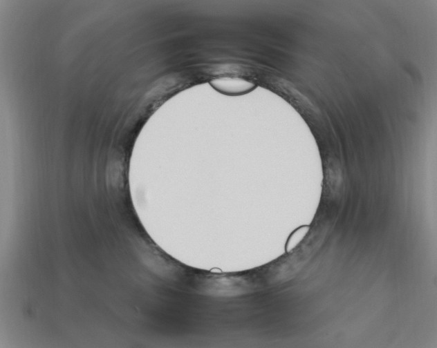 X0000111950379200909071324