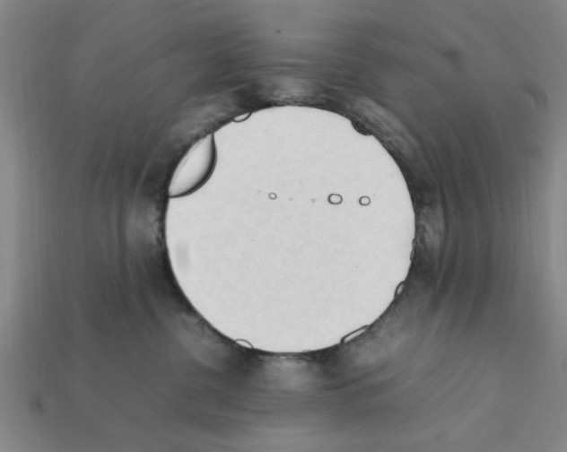 X0000111950380200909071324