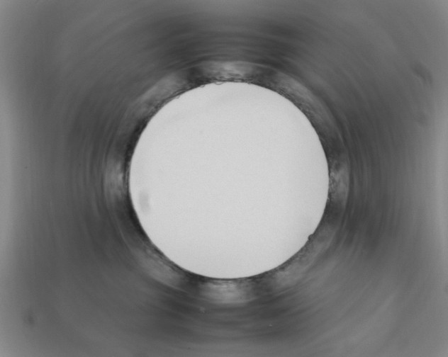 X0000111950381200909071324