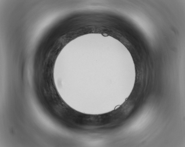 X0000111950383200909071325