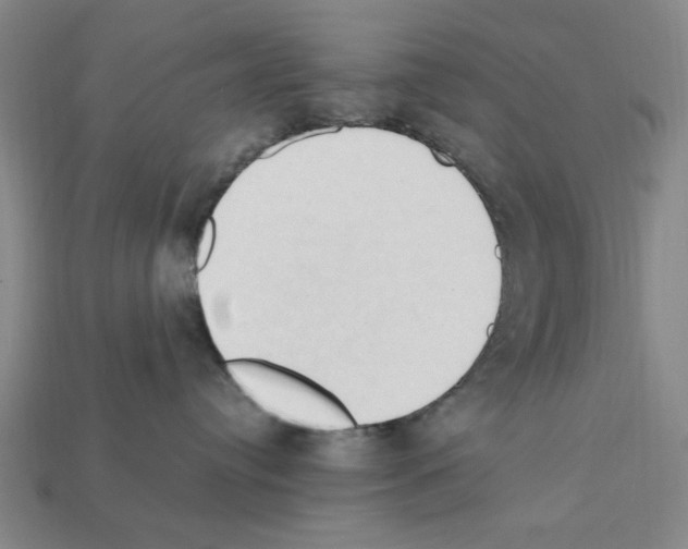 X0000111950384200909071325