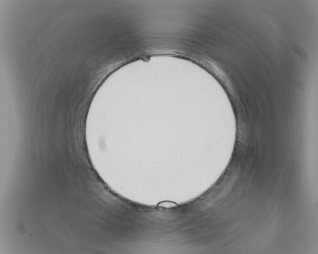 X0000111950385200909071324