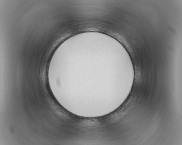 X0000111950386200909071324