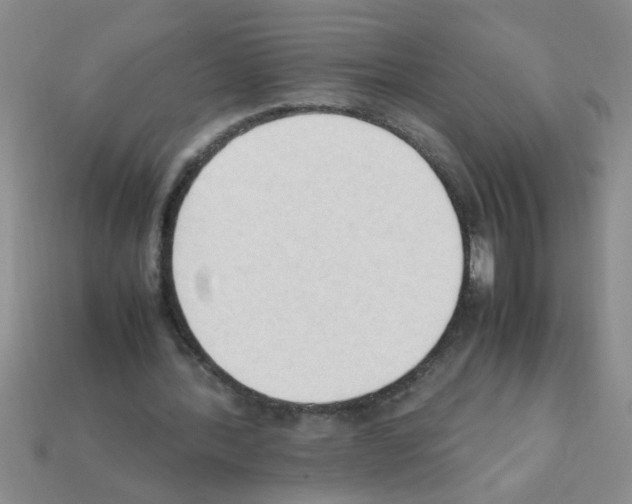 X0000111950388200909071324