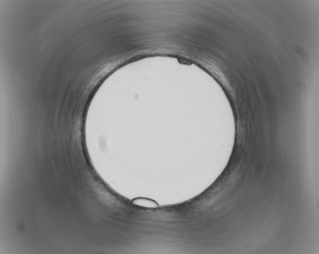 X0000111950389200909071324