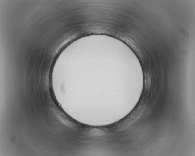 X0000111950390200909071324
