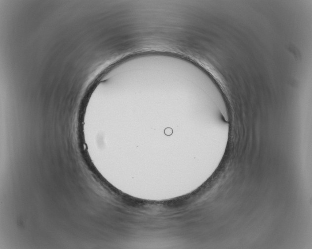 X0000111950391200909071324