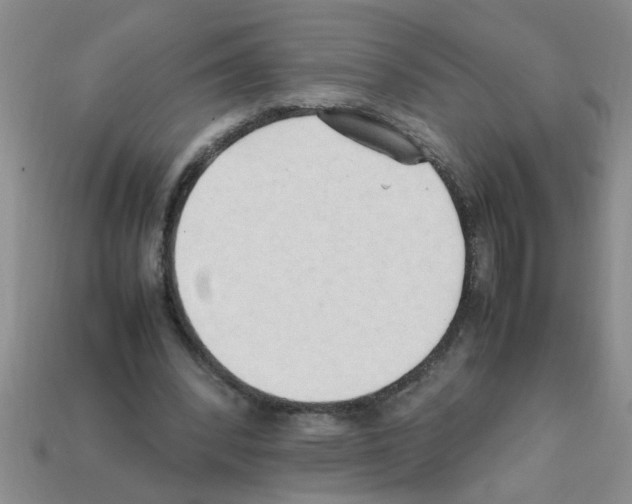 X0000111950392200909071324