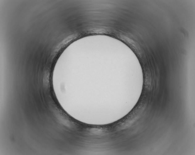 X0000111950394200909071324