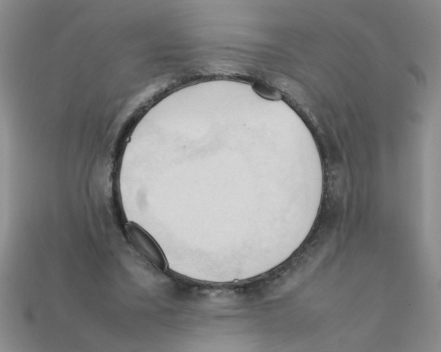 X0000111950395200909071324