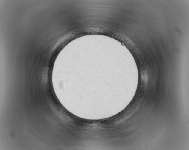 X0000111950396200909071324
