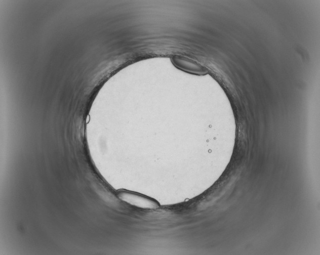 X0000111950397200909071324