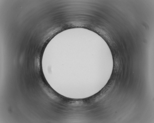 X0000111950398200909071324