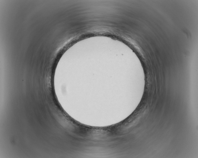 X0000111950399200909071324