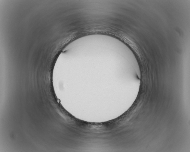X0000111950401200909071324