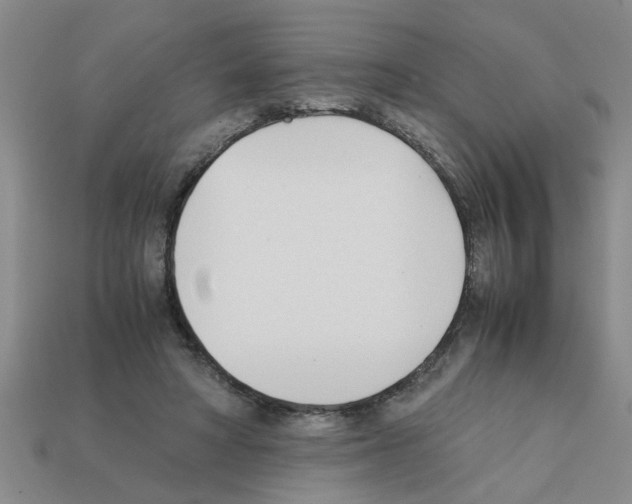 X0000111950402200909071324