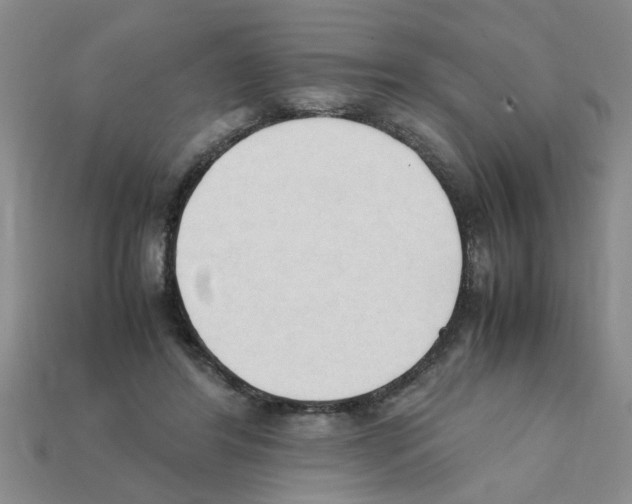 X0000111950404200909071324