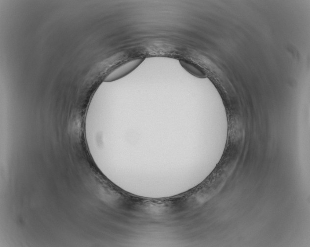 X0000111950405200909071324