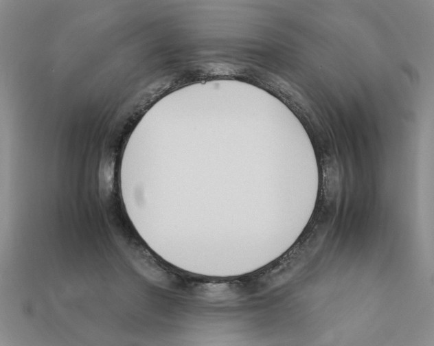 X0000111950406200909071324