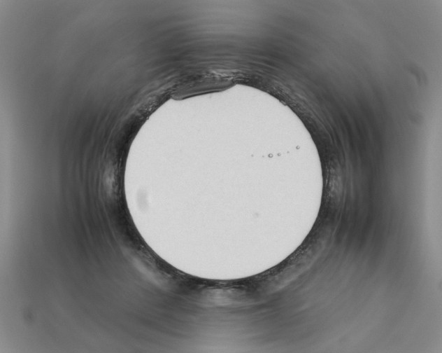 X0000111950408200909071324